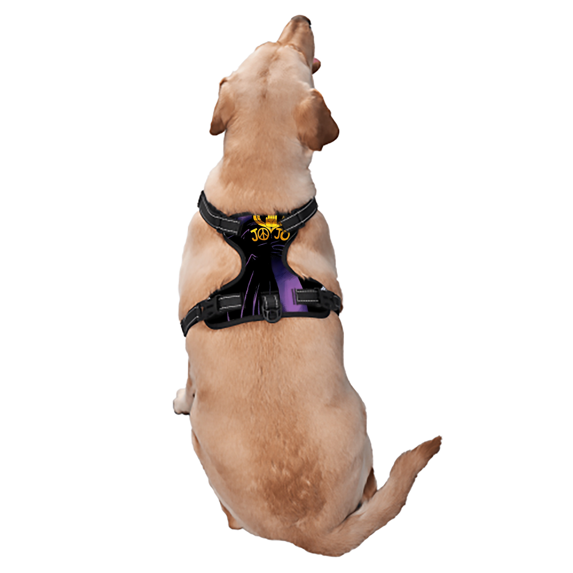 （画像用） ジョジョの奇妙な冒険 ひがしかた じょうすけ JoJo's Bizarre Adventure Higashikata Josuke ペット用ハーネス